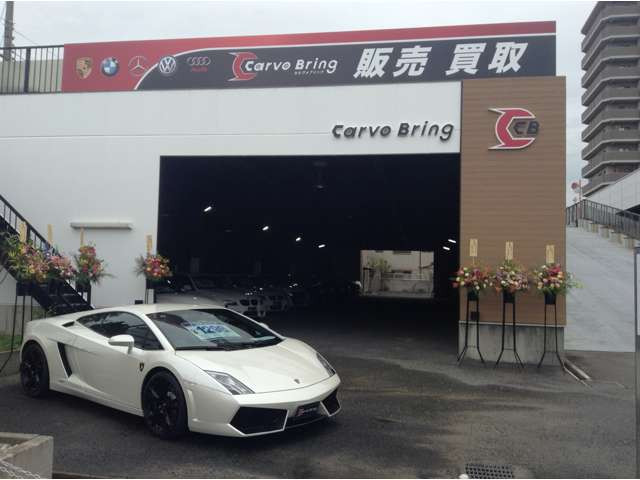 カルヴォブリング